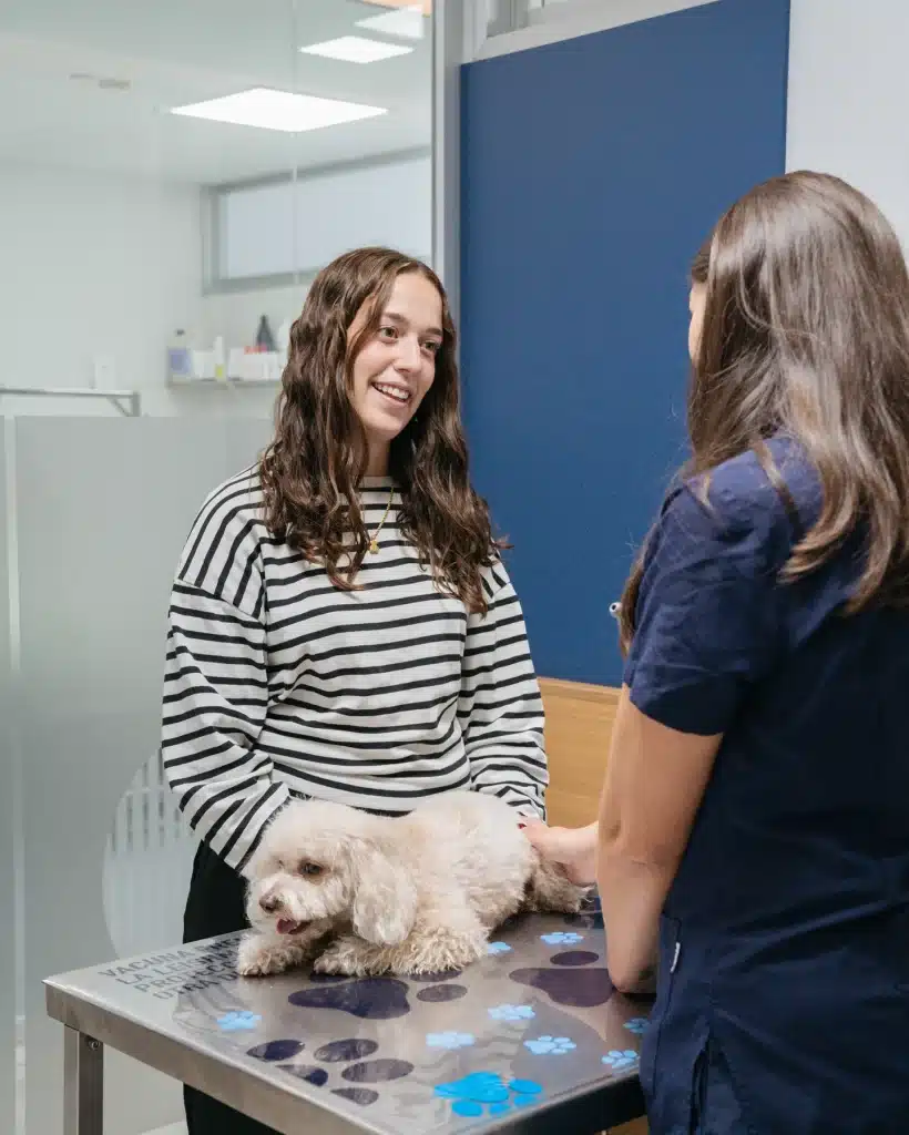 Una veterinaria conversa con la dueña de un perro durante la consulta