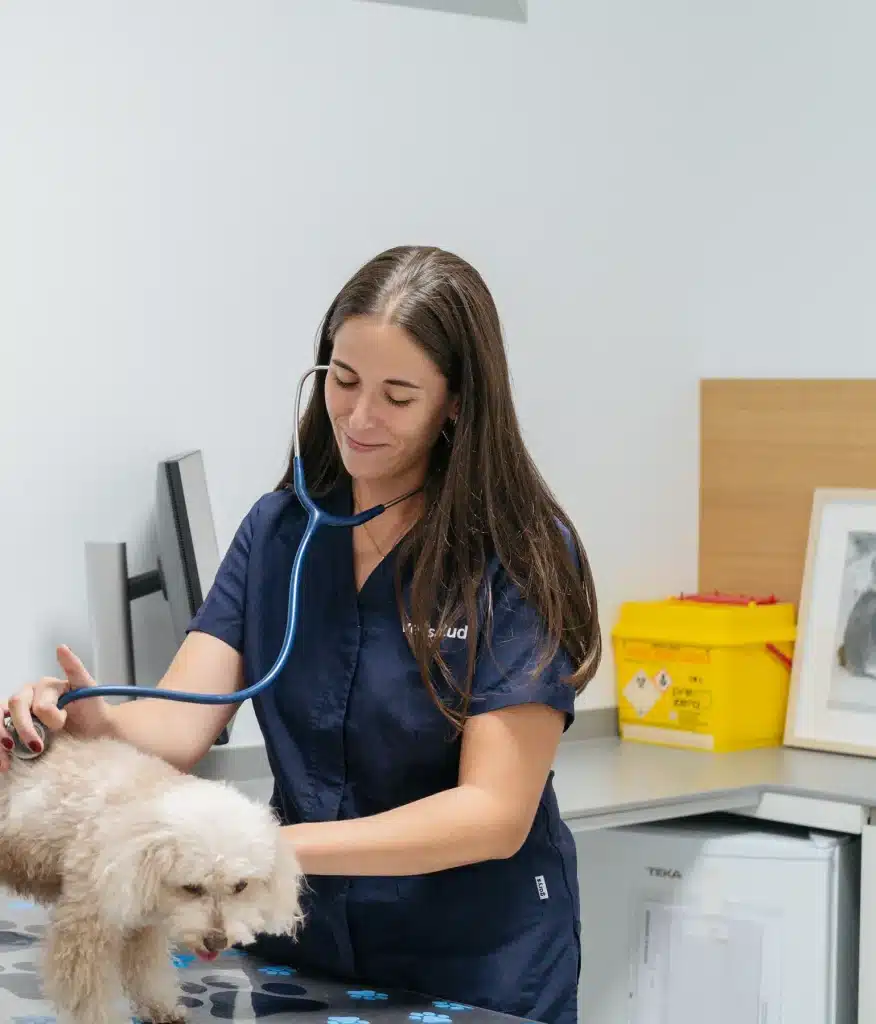 Una veterinaria de Vetsalud ausculta a un perro en la consulta